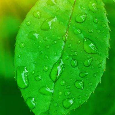 kok中欧登录入口截图